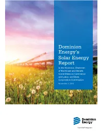 2018 Solar Report