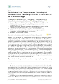 The Effect of Low Temperature on Physiological, Biochemical And