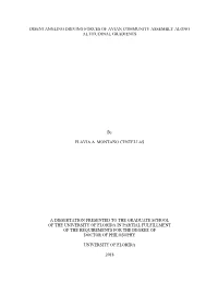 University of Florida Thesis Or Dissertation