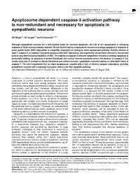 Apoptosome Dependent Caspase-3 Activation Pathway Is Non-Redundant and Necessary for Apoptosis in Sympathetic Neurons
