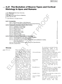 Elsevier First Proof