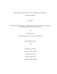 View of the Literature