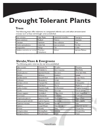 Drought Tolerant Plants