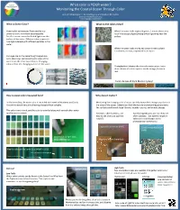 What Color Is YOUR Water? Monitoring the Coastal Ocean Through Color