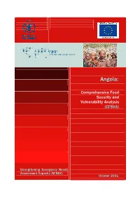 Angola: Comprehensive Food Security and Vulnerability Analysis (CFSVA)