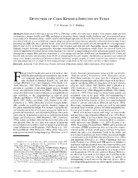 Detection of Corn Kernels Infected by Fungi