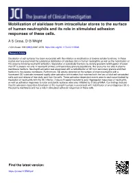 Mobilization of Sialidase from Intracellular Stores to the Surface of Human Neutrophils and Its Role in Stimulated Adhesion Responses of These Cells