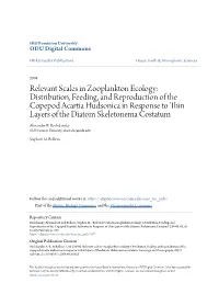 Relevant Scales in Zooplankton Ecology