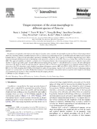Unique Responses of the Avian Macrophage to Different Species of Eimeria Rami A