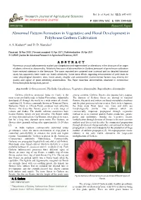 Abnormal Pattern Formation in Vegetative and Floral Development in Polyhouse Gerbera Cultivation