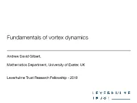 Fundamentals of Vortex Dynamics