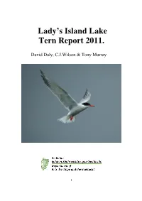 Lady's Island Lake Tern Report 2011