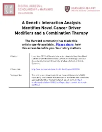 LIAO-DISSERTATION-2019.Pdf (4.688Mb)