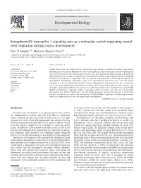Semaphorin3a/Neuropilin-1 Signaling Acts As a Molecular Switch Regulating Neural Crest Migration During Cornea Development