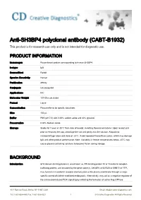 Anti-SH3BP4 Polyclonal Antibody (CABT-B1932) This Product Is for Research Use Only and Is Not Intended for Diagnostic Use