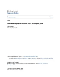 Detection of Point Mutations in the Dystrophin Gene