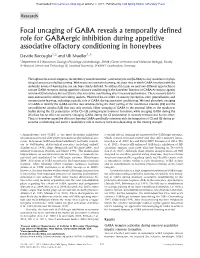 Focal Uncaging of GABA Reveals a Temporally Defined Role for Gabaergic Inhibition During Appetitive Associative Olfactory Conditioning in Honeybees
