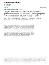 Oxygen Tension Modulates the Mitochondrial Genetic Bottleneck and Inﬂuences the Segregation of a Heteroplasmic Mtdna Variant in Vitro