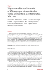 Phytoremediation Potential of Chrysopogon Zizanioides for Toxic Elements in Contaminated Matrices Sebastián A