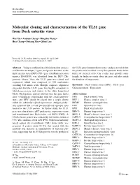 Molecular Cloning and Characterization of the UL31 Gene from Duck Enteritis Virus
