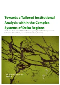 Towards a Tailored Institutional Analysis Within the Complex Systems of Delta Regions