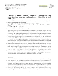 Dynamics of Canopy Stomatal Conductance, Transpiration, and Evaporation in a Temperate Deciduous Forest, Validated by Carbonyl S