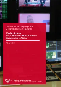 The Committee's Initial Views on Broadcasting In
