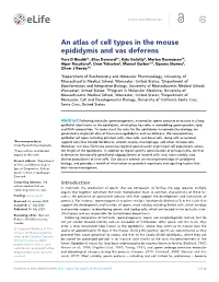An Atlas of Cell Types in the Mouse Epididymis and Vas Deferens