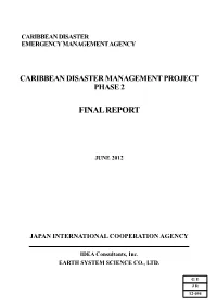 Final Report