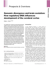 Genomic Divergence and Brain Evolution: How Regulatory DNA Inﬂuences Development of the Cerebral Cortex