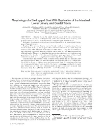 Morphology of a Six-Legged Goat with Duplication of the Intestinal, Lower Urinary, and Genital Tracts