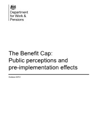 The Benefit Cap: Public Perceptions and Pre-Implementation Effects