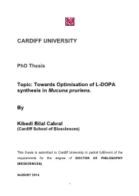 2014-Kibedi-BC-Phdversion2.Pdf