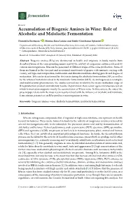 Accumulation of Biogenic Amines in Wine: Role of Alcoholic and Malolactic Fermentation