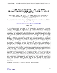 Paper Format : Instruction to Authors