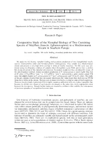 Research Paper Comparative Study of The