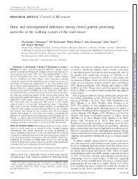 Intra- and Intersegmental Influences Among Central Pattern Generating Networks in the Walking System of the Stick Insect