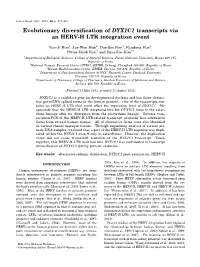 Evolutionary Diversification of DYX1C1 Transcripts Via an HERV-H LTR Integration Event