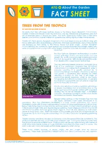 Trees in the Tropics
