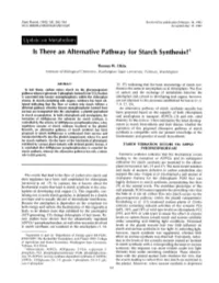 Is There an Alternative Pathway for Starch Synthesis?'