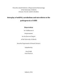 Mt-Atp8 Gene in the Conplastic Mouse Strain C57BL/6J-Mtfvb/NJ on the Mitochondrial Function and Consequent Alterations to Metabolic and Immunological Phenotypes