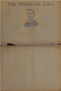 This Entire Document