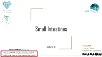 5- Small Intestines Edited.Pdf