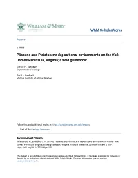 Pliocene and Pleistocene Depositional Environments on the York-James
