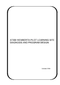 Atsbi Wemberta Pilot Learning Site Diagnosis and Program Design