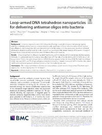 Loop-Armed DNA Tetrahedron Nanoparticles for Delivering