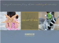 Making Theconnections Finding Thelinks