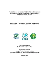 Project Completion Report