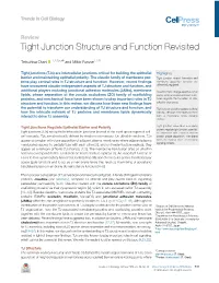 Tight Junction Structure and Function Revisited