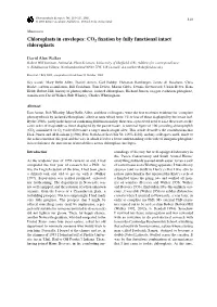 Chloroplasts in Envelopes: CO2 Fixation by Fully Functional Intact